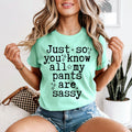 Just so You Know All My Pants are Sassy