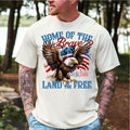 Home of the Brave Eagle