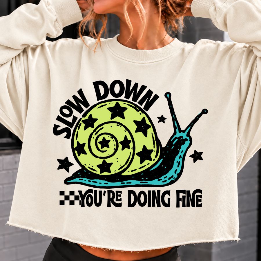 Slow Down You're Doing Fine Snail