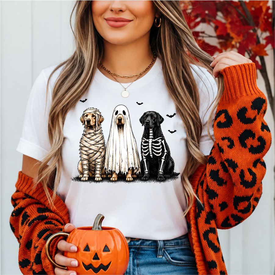 Spooky Labradors